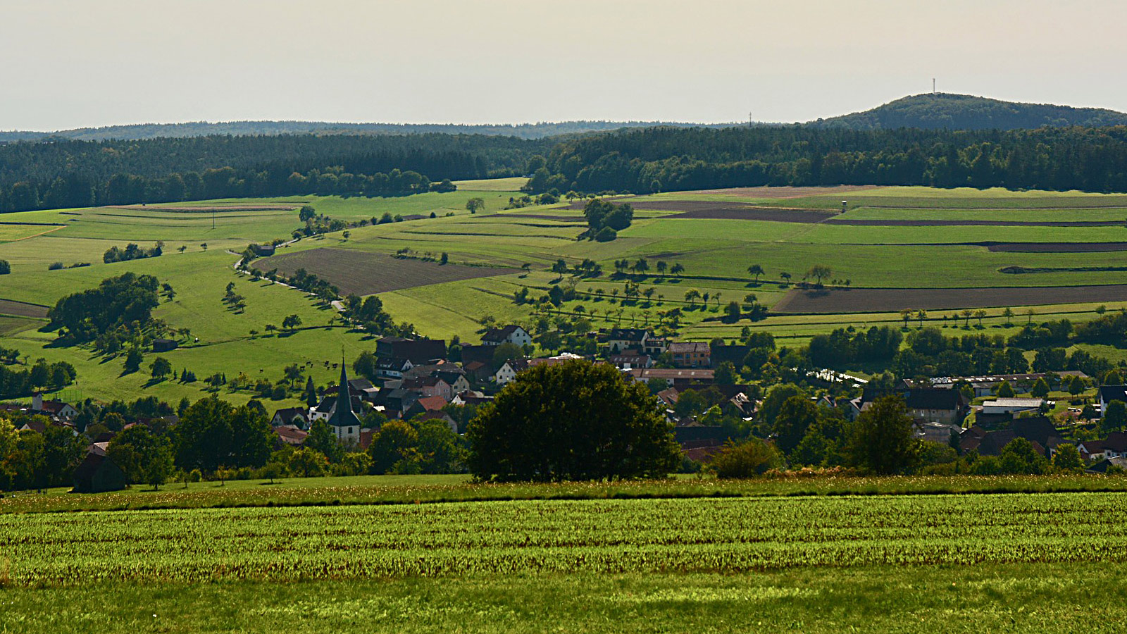 Raus aus der Stadt