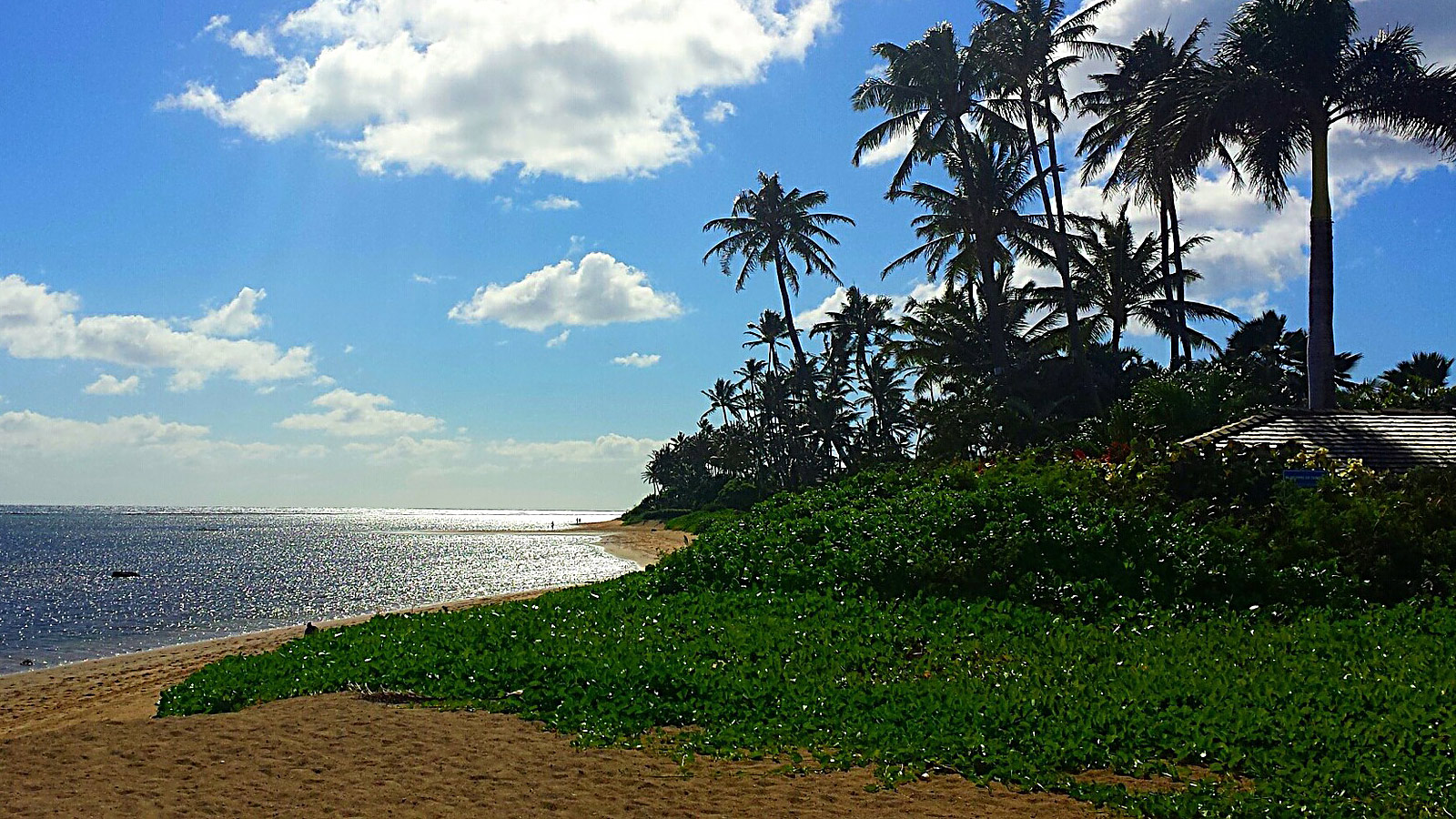 Arbeiten auf Hawaii